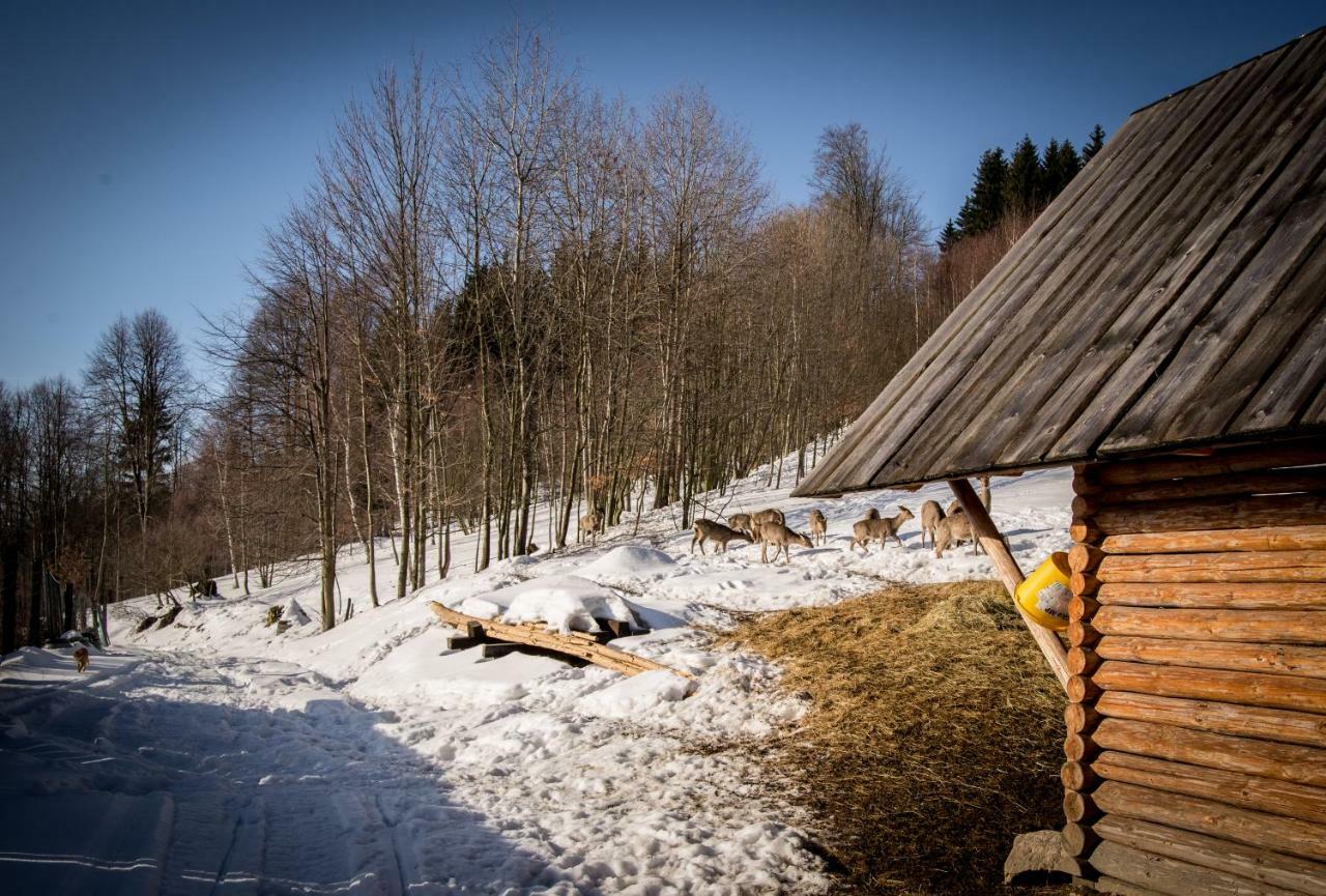 Apartamenty Romanowka Raszow Esterno foto